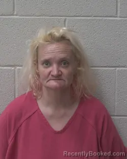 Recent Mugshot Image for ARON MISTY BROWN in Alexander County, North Carolina