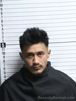 Recent Mugshot Image for DENIS ROMARIO PORTILLO-GARCIA in Brunswick County, North Carolina