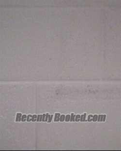 Recent Mugshot Image for CHARLENE LYNN TAYLOR in Buncombe County, North Carolina