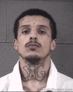 Recent Mugshot Image for DILLON LEE HODSDEN in Buncombe County, North Carolina