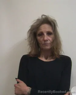 Recent Mugshot Image for ANNISA RADIE WILLIAMS in Davidson County, North Carolina