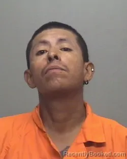 Recent Mugshot Image for HILARIO SIMON MAGANA in Forsyth County, North Carolina