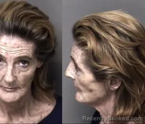 Recent Mugshot Image for Lisa Moraleda Reinhardt in Gaston County, North Carolina