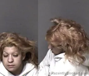 Recent Mugshot Image for Tess Fonseca in Gaston County, North Carolina