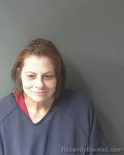 Recent Mugshot Image for Lisa Louise Parbon in Clinton County, Indiana
