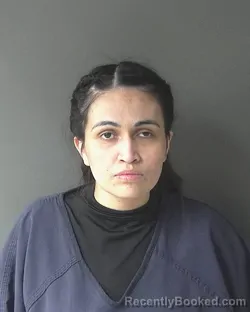 Recent Mugshot Image for Ximena Jaramillo in Clinton County, Indiana