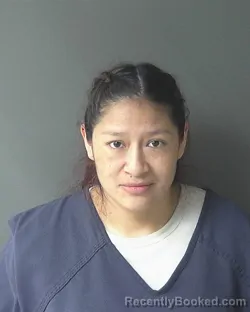 Recent Mugshot Image for Rosa Sarmiento-celdo in Clinton County, Indiana