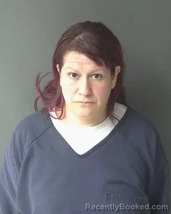 Recent Mugshot Image for Maria Garcia- Gonzalez in Clinton County, Indiana