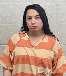 Recent Mugshot Image for RODRIGO CASTILLO LOPEZ in Fulton County, Indiana