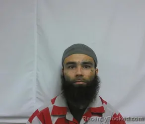 Recent Mugshot Image for SHANNON DONELL LOCKLEAR in Hoke County, North Carolina