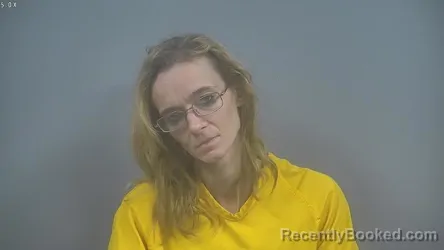Recent Mugshot Image for ALANNA SUE LACOMB NEAL in Sullivan County, Indiana