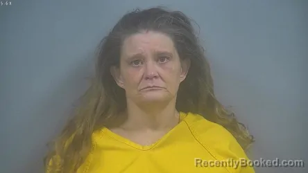 Recent Mugshot Image for APRIL DAWN ROBINSON in Sullivan County, Indiana