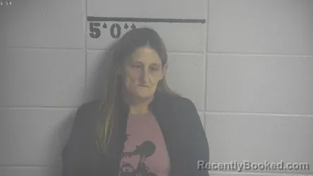 Recent Mugshot Image for DEBRA KATHLEEN POLSTON in Adair County, Kentucky