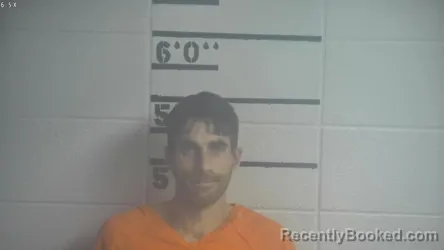 Recent Mugshot Image for JAMIE L FRITZ in Adair County, Kentucky