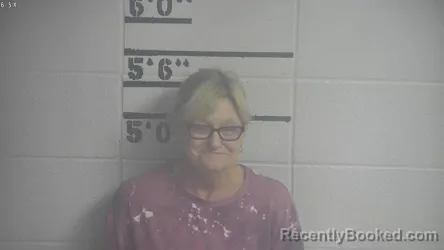 Recent Mugshot Image for SUSIE A WILLIS in Adair County, Kentucky
