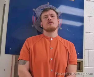 Recent Mugshot Image for LAWSON NELSON in Boyd County, Kentucky