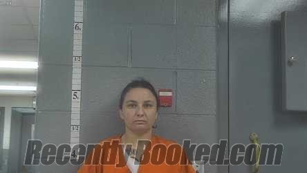 Recent Mugshot Image for CHANLEY JAZMINE NAIR in Bullitt County, Kentucky