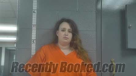 Recent Mugshot Image for NICHOLE STEWART in Bullitt County, Kentucky