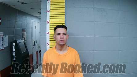 Recent Mugshot Image for PELEGRIN DURAN JAUANLDIS in Butler County, Kentucky