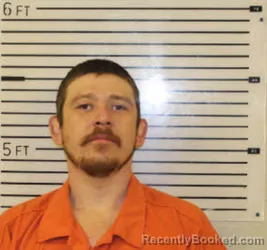 Recent Mugshot Image for MATTHEW DELAYNE PARKER in Madison County, North Carolina