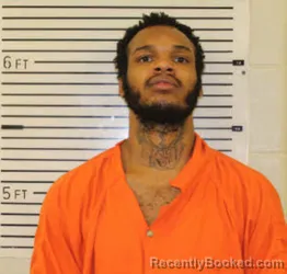Recent Mugshot Image for DREAM JASHIEM WILSON in Madison County, North Carolina