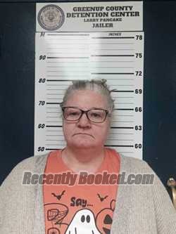 Recent Mugshot Image for NINA WEBB in Greenup County, Kentucky