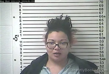 Recent Mugshot Image for ANGELICA MARIE BRADSHAW in Hardin County, Kentucky