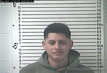Recent Mugshot Image for ERICEL CRUZ MARROQUIN in Hardin County, Kentucky