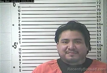 Recent Mugshot Image for ISAEL FLORES ALVEREZ in Hardin County, Kentucky