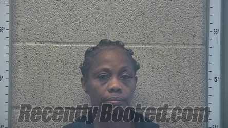 Recent Mugshot Image for MIA MAREILL VAN DYKE-GATHINGS in Henderson County, Kentucky