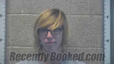 Recent Mugshot Image for BRADLEY HAYNES in Henderson County, Kentucky