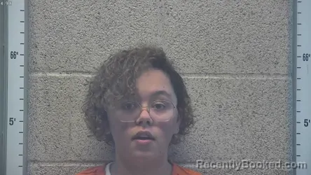 Recent Mugshot Image for NISHA GIBBS in Henderson County, Kentucky