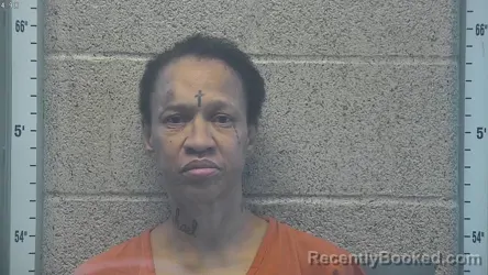 Recent Mugshot Image for ERICA LYNN TAPP in Henderson County, Kentucky