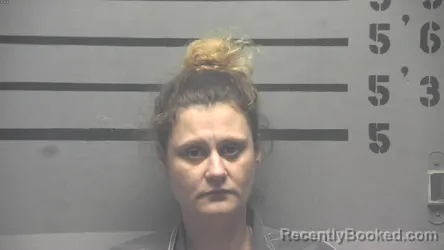 Recent Mugshot Image for AMANDA JEAN DAME in Hopkins County, Kentucky