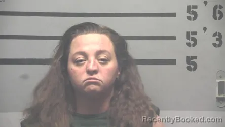 Recent Mugshot Image for CASSIE A DAVIS in Hopkins County, Kentucky