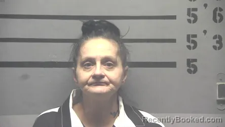 Recent Mugshot Image for BRANDIE RENETTE MCGOWAN in Hopkins County, Kentucky