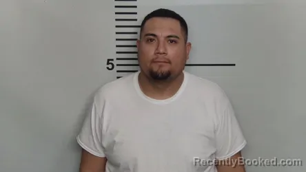 Recent Mugshot Image for ALEJANDRO N GARCIA in Jefferson County, Kentucky