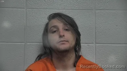 Recent Mugshot Image for DANNY HAMMONS in Jessamine County, Kentucky