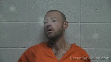 Recent Mugshot Image for VINCENT RILEY in Jessamine County, Kentucky