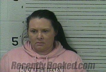 Recent Mugshot Image for AMANDA TURNER in Knox County, Kentucky