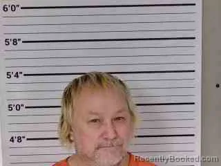 Recent Mugshot Image for TERRANCE RAINES in Leslie County, Kentucky