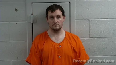 Recent Mugshot Image for MATTHEW DONAGHY in Logan County, Kentucky
