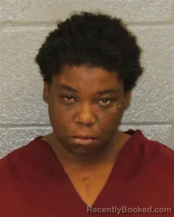 Recent Mugshot Image for JADE DULIN in Mecklenburg County, North Carolina