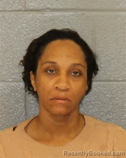 Recent Mugshot Image for CHANTE DANAY BROWN in Mecklenburg County, North Carolina