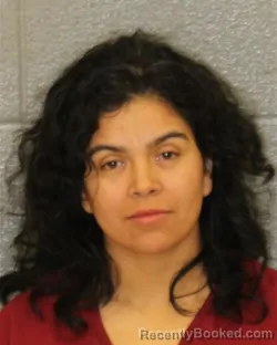 Recent Mugshot Image for BELKYS PORTILLO in Mecklenburg County, North Carolina