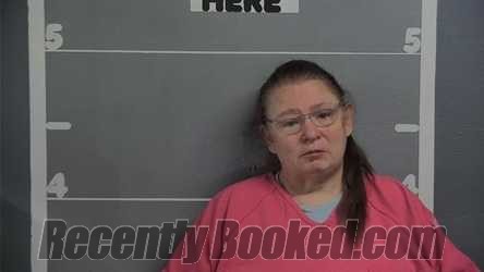 Recent Mugshot Image for DEBBIE ANN MEADOR in Ohio County, Kentucky
