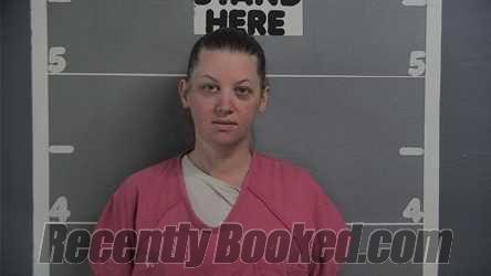 Recent Mugshot Image for ELIZABETH STUART in Ohio County, Kentucky