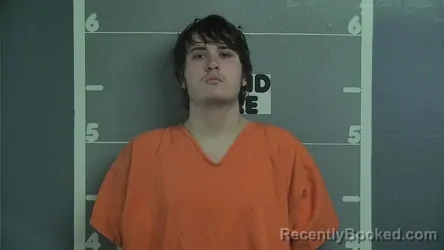 Recent Mugshot Image for LOGAN A SAILING in Ohio County, Kentucky