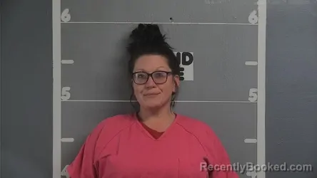 Recent Mugshot Image for MEAGAN A BAIZE in Ohio County, Kentucky