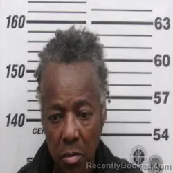 Recent Mugshot Image for RUBY LEE CAPLE in Montgomery County, North Carolina